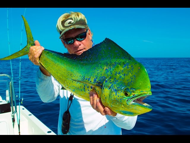 Deep Sea Fishing Big Fish for Mahi Mahi in Venice Louisiana