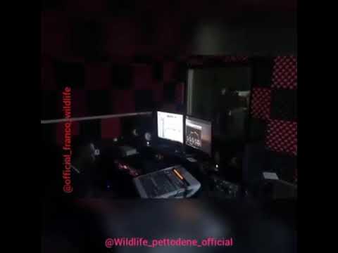 Franco wildlife an wildlife pettodean in studio