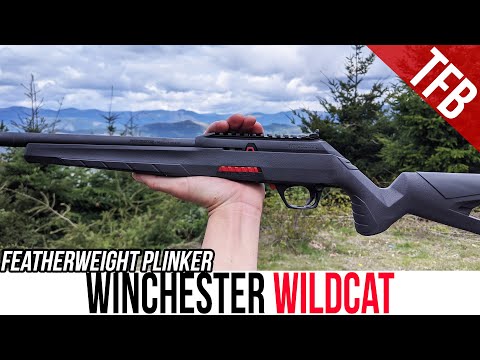 NEW Winchester Wildcat Review: Featherweight Plinker