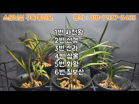 유튜브 썸네일