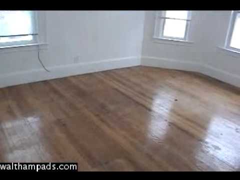 Nice Waltham Apartment For Rent