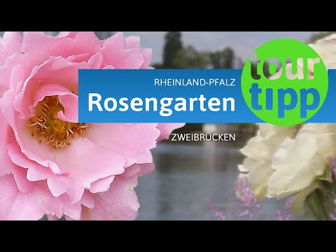 TourTipp: Rosengarten Zweibrücken
