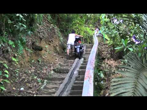 to drive a scooter in the junge