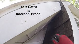 How to Raccoon-Proof a Soffit | Raccoon Prevention