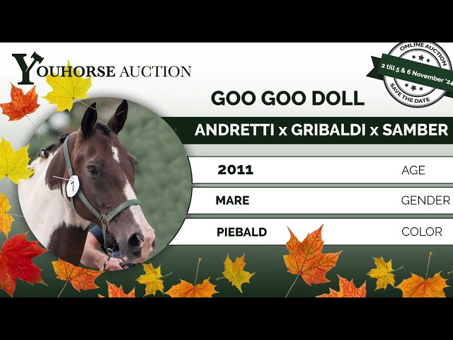 Goo Goo Doll