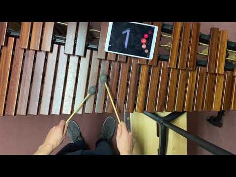 Polka - N.J.Zivkovic