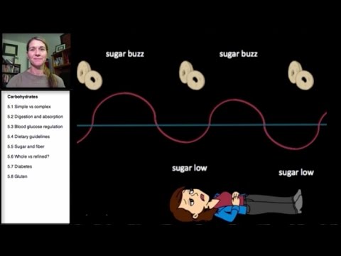 5.3 炭水化物血糖値の調節 (5.3 Carbohydrates: Blood Glucose Regulation)