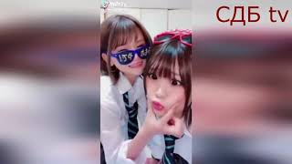 НОВЫЕ ПРИКОЛЫ l САМЫЕ СМЕШНЫЕ ПРИКОЛЫ 2019