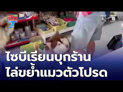 คลิกเพื่อดูคลิปวิดีโอ