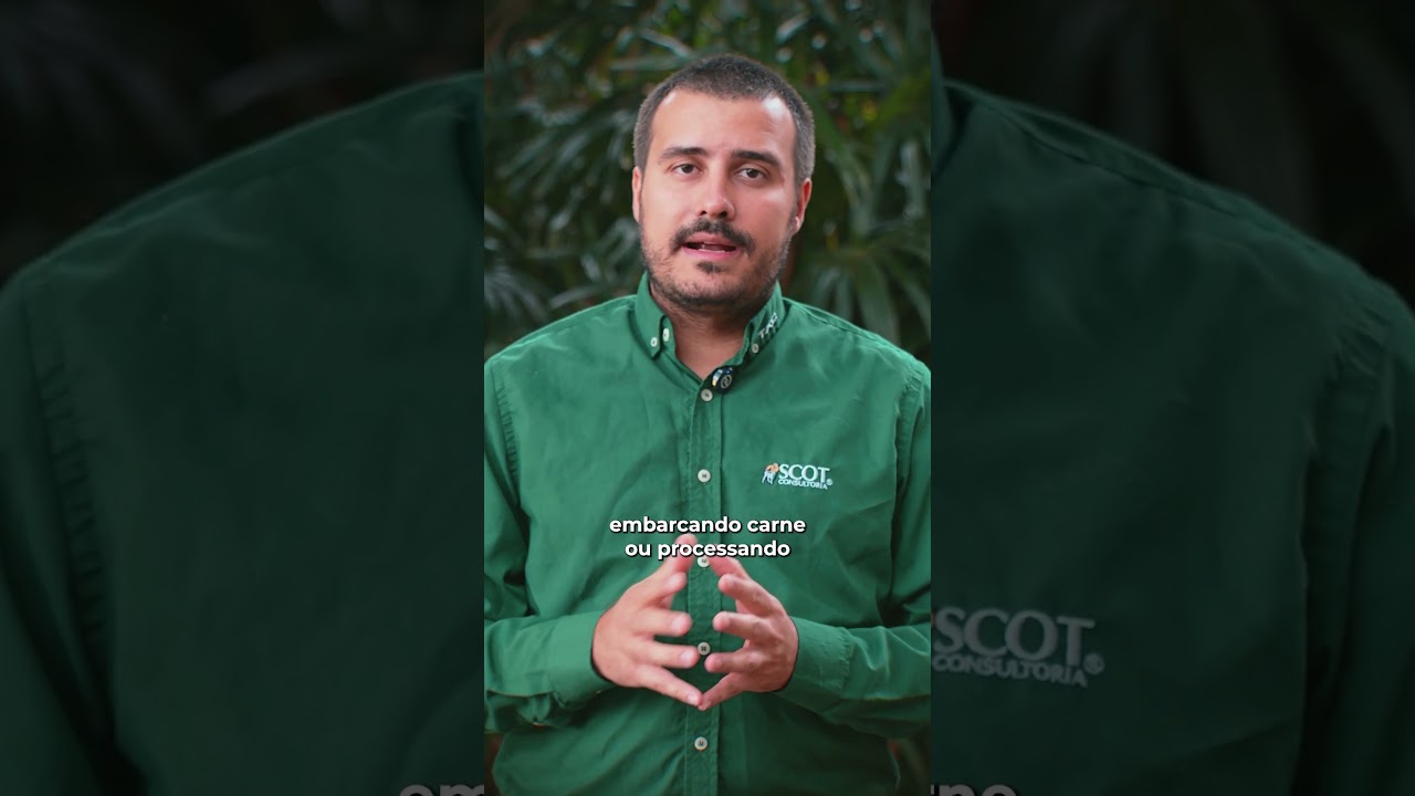 Arroba do boi gordo deve cair até o fim de outubro?