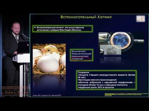 26 ноября 2017 'Эмбрион - пациент' - диагностика, коррекция нарушений. Взгляд эмбриолога и генетика