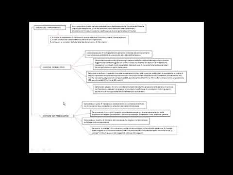 METODO SCIENTIFICO, 2° parte