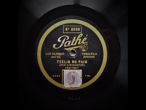 Feelin' No Pain - Lud Gluskin and His Versatile Juniors (1928)
