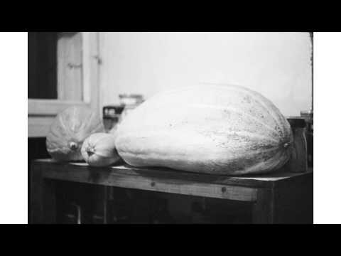 Analog Photography | 2019.01.14. Countryside | ruu.lv