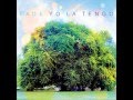 Yo La Tengo - "Paddle Forward" («Fade», 2013)