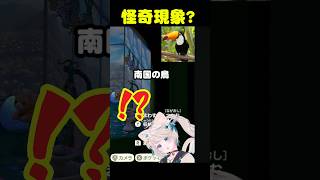 【切り抜き／放送事故】かわいい南国の鳥を開いただけなのにヒカキンさんみたいな首ゴキになったVtuberさん　#vtuber #切り抜き #vtuber shorts