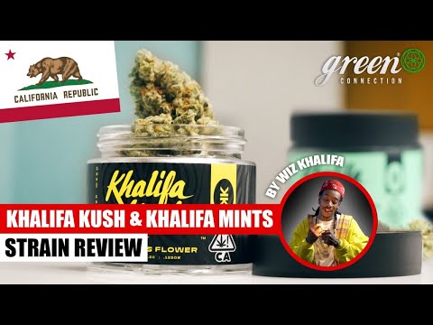 What can Khalifa Kush do? | Strain Review Khalifa Kush & Khalifa Mintz