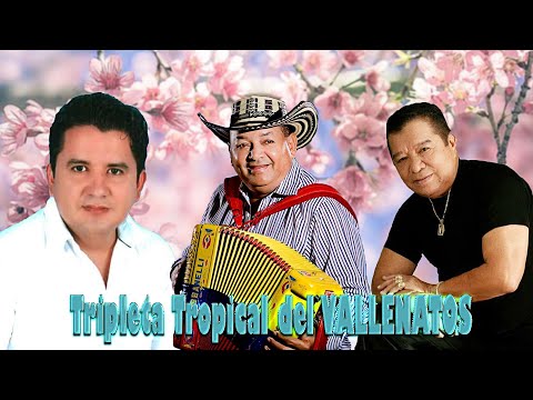 Tripleta Tropical del VALLENATOS - Lisandro Meza, Rodolfo Aicardi, Pastor López