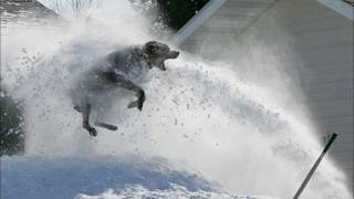 Rush - By Tor And The Snow Dog (Studio Version)