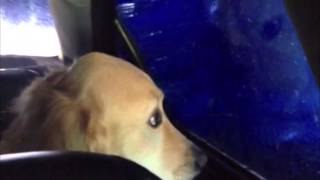 First time at a carwash