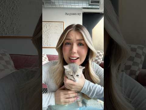 MY KITTEN HAS TO WEAR A CONE😭