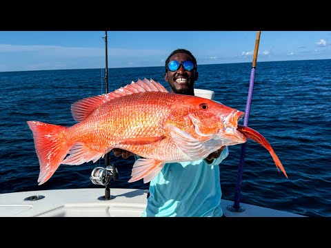 GIANT Snappers & Grouper! Deep Sea Fishing (Catch Clean Cook)