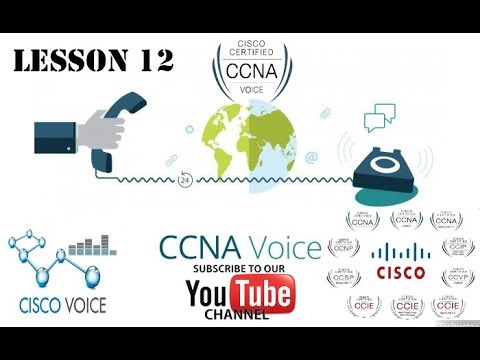 CCNA Voice from 0 To Pro Learn Lesson 12 Zero subscriber