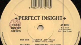 Perfect Insight - Hurt