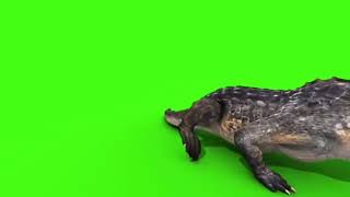 Download lagu green screen buaya 2 // gratis / no copyright mp3 Download lagu green screen buaya 2 // gratis / no copyright mp3