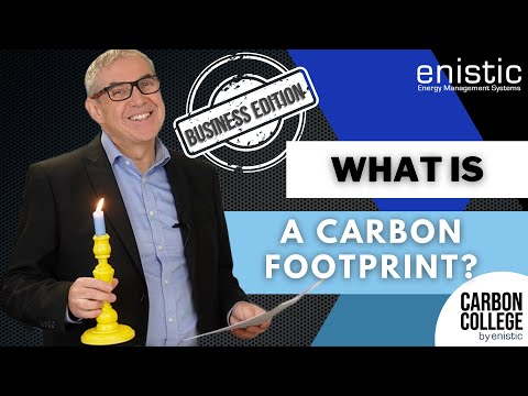 What Is a Carbon Footprint? | Business Edition