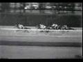 Arts And Letters 1969 Belmont Stakes