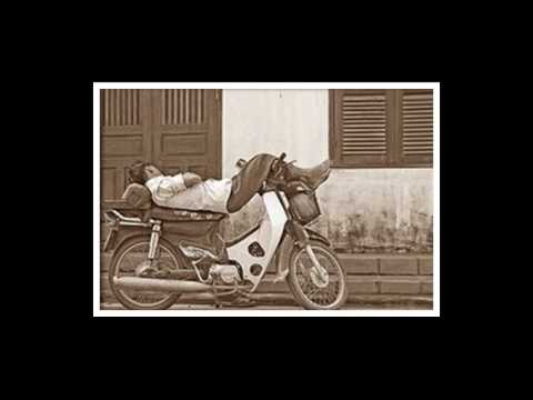 Orkester Selotejp   Regi Delavec