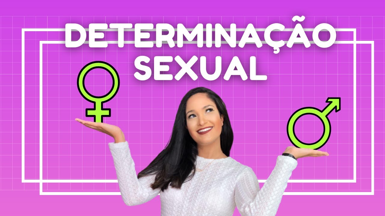 DETERMINAÇÃO DO SEXO - DETERMINAÇÃO SEXUAL | Thaís Magalhães