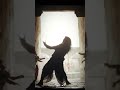 Araki I PonniyinSelvan WhatsApp Status I Shorts Ponniyinselvan