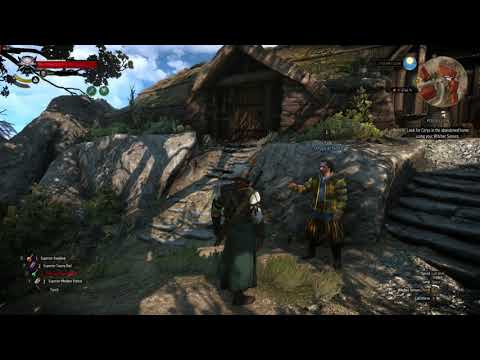 The witcher3 | Otrygg an Hindar-The Wizard