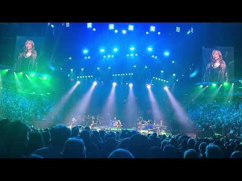 Bruce Springsteen MSG 5/11/2026 Clips incl American Skin, Because the Night