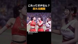 これってガチなん？呆れる瞬間WWW #おもしろ #かわいい #びっくり #fyp #funny