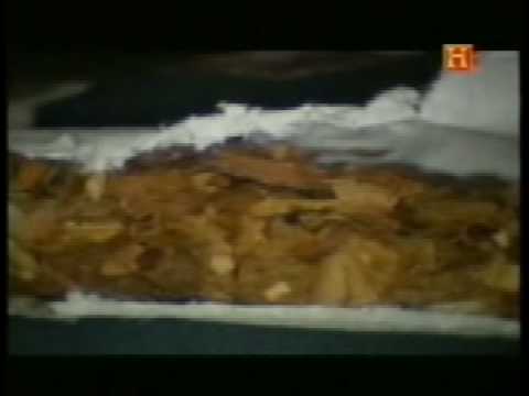 Arhangelsk como a dejar fumar