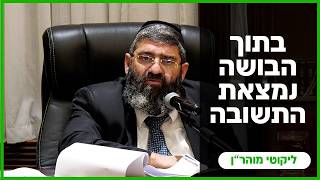 הרב אייל עמרמי - בתוך הבושה נמצאת התשובה - כח' ניסן תשפ"ו [15.04.26