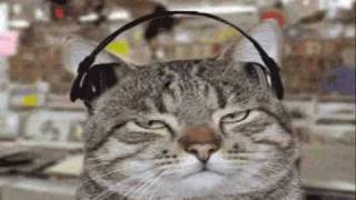 Travis Wammack - Have You Ever Had The Blues - Instrumental