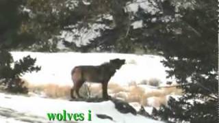 Seven days of Guardians