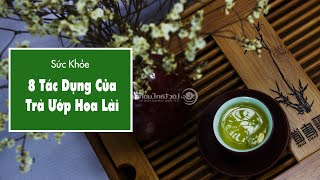 8 Tác Dụng Tuyệt Vời Của Trà Hoa Lài Đối Với Sức Khỏe