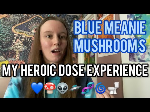 An Insanely Raw Trip Report | 5 grams of Blue Meanie Mushrooms (Heroic Dose)