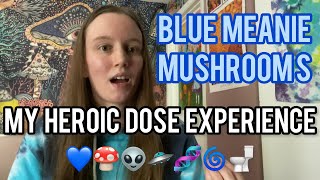 An Insanely Raw Trip Report | 5 grams of Blue Meanie Mushrooms (Heroic Dose)