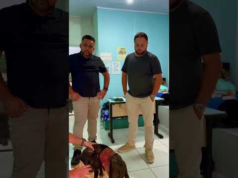 VEREADORES EDUARDO E VITÃO JUNTOS PELA CAUSA ANIMAL EM MAIS UMA MISSÃO... MISERICÓRDIA