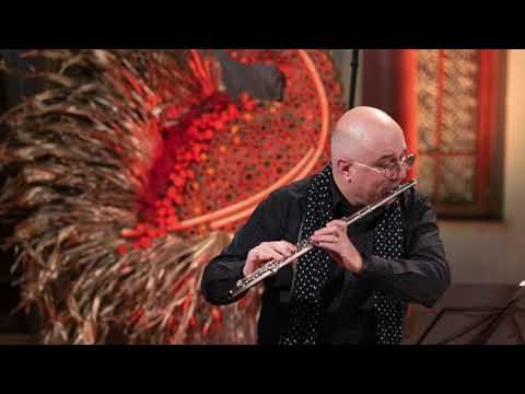 @ionbogdanstefanescu  Adrian Enescu - Ireversibil version for solo flute