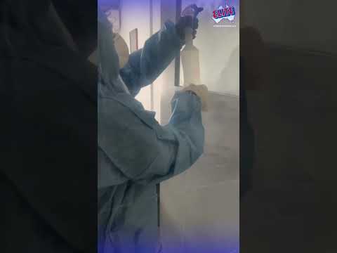 Mould Free Property with Elite Restoration