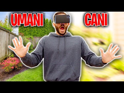 PROVO LA VISTA DEI CANI! *Ho quasi vomitato 🤢*