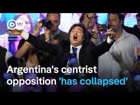 How economically sustainable are Milei's austerity measures? | DW News