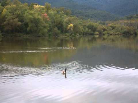 Nisam te se nagledao Darko Lazic